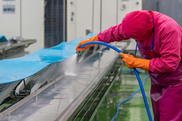 Facility Worker Cleaning Conveyor Belt Using High Pressure Water Spray.